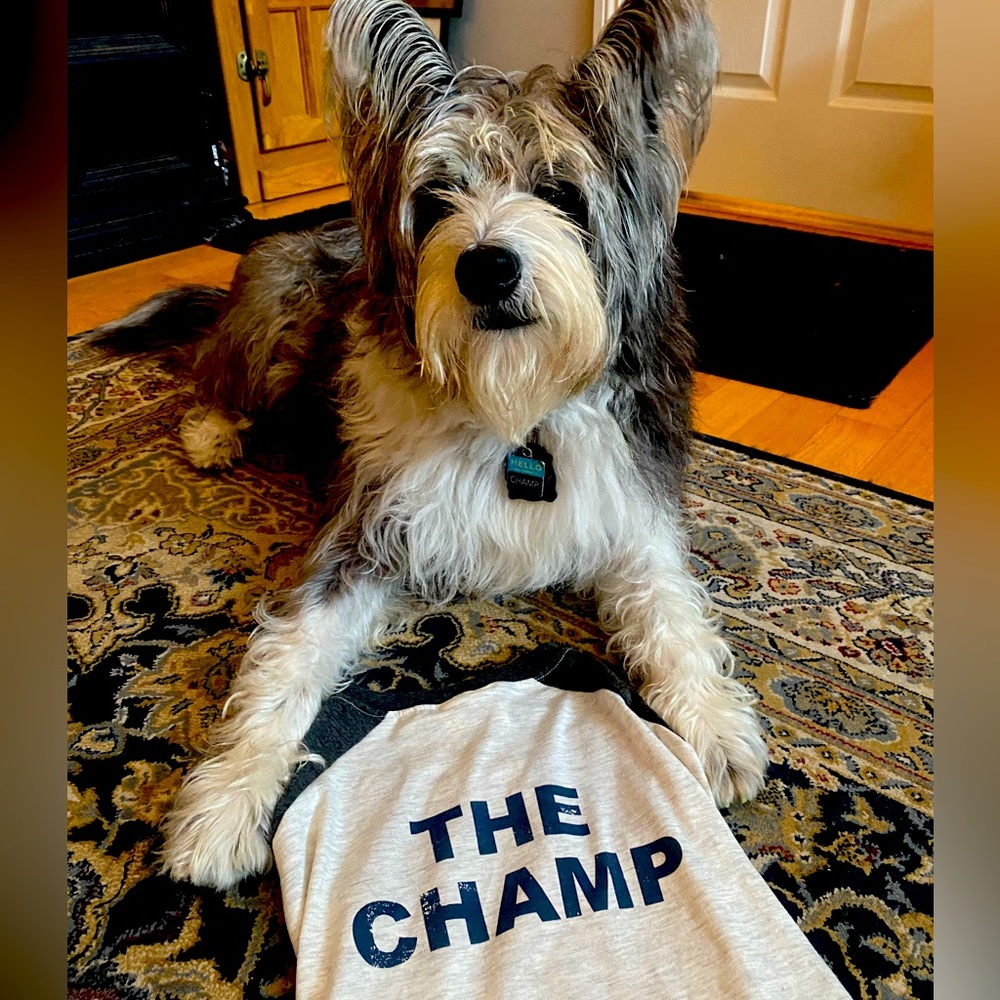 “Champ” Baseball T-Shirt